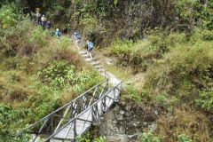 it_trekking_bridge