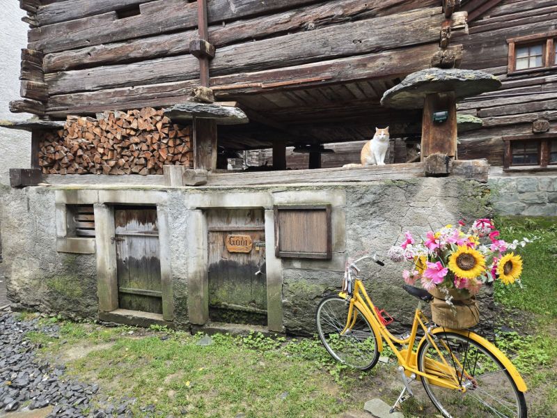 zmt_bike_flowers
